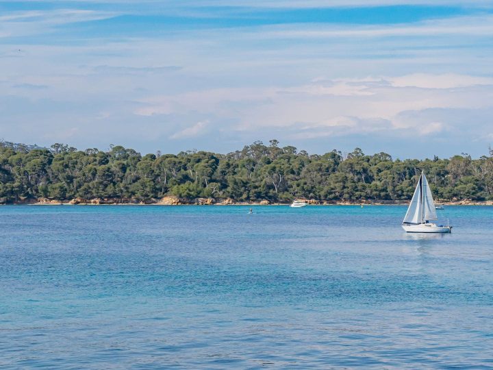 Location de bateau aux îles de Lerins | Cannes